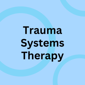 Trauma Systems Therapy (TST)
