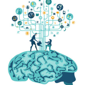 Executive Functioning Fact Sheet